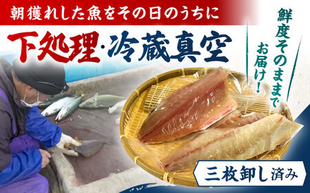 【冷蔵】【下処理済】鮮魚ボックス2種 五島市/金沢鮮魚[PEP006] 金澤仕立て  鮮魚 冷蔵 真空パック 新鮮 下処理済み 海鮮 刺身 セット