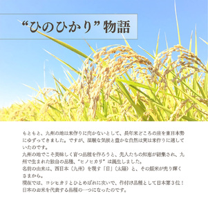 みかん お米 熊本県なごみ町産無洗米「ひのひかり」5kg＋みかん5kg | 熊本県 熊本 くまもと 和水町 なごみまち なごみ みかん ミカン 蜜柑 柑橘 柑橘類 温州 果物 フルーツ 小玉 3S 無洗米 ヒノヒカリ ひのひかり