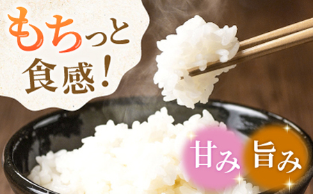 合鴨米 1kg×10 計10kg 【あいがもん倶楽部】[ZAR022]
