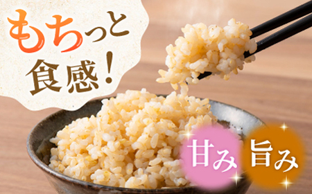 合鴨玄米 1kg×5 計5kg 【あいがもん倶楽部】[ZAR024]