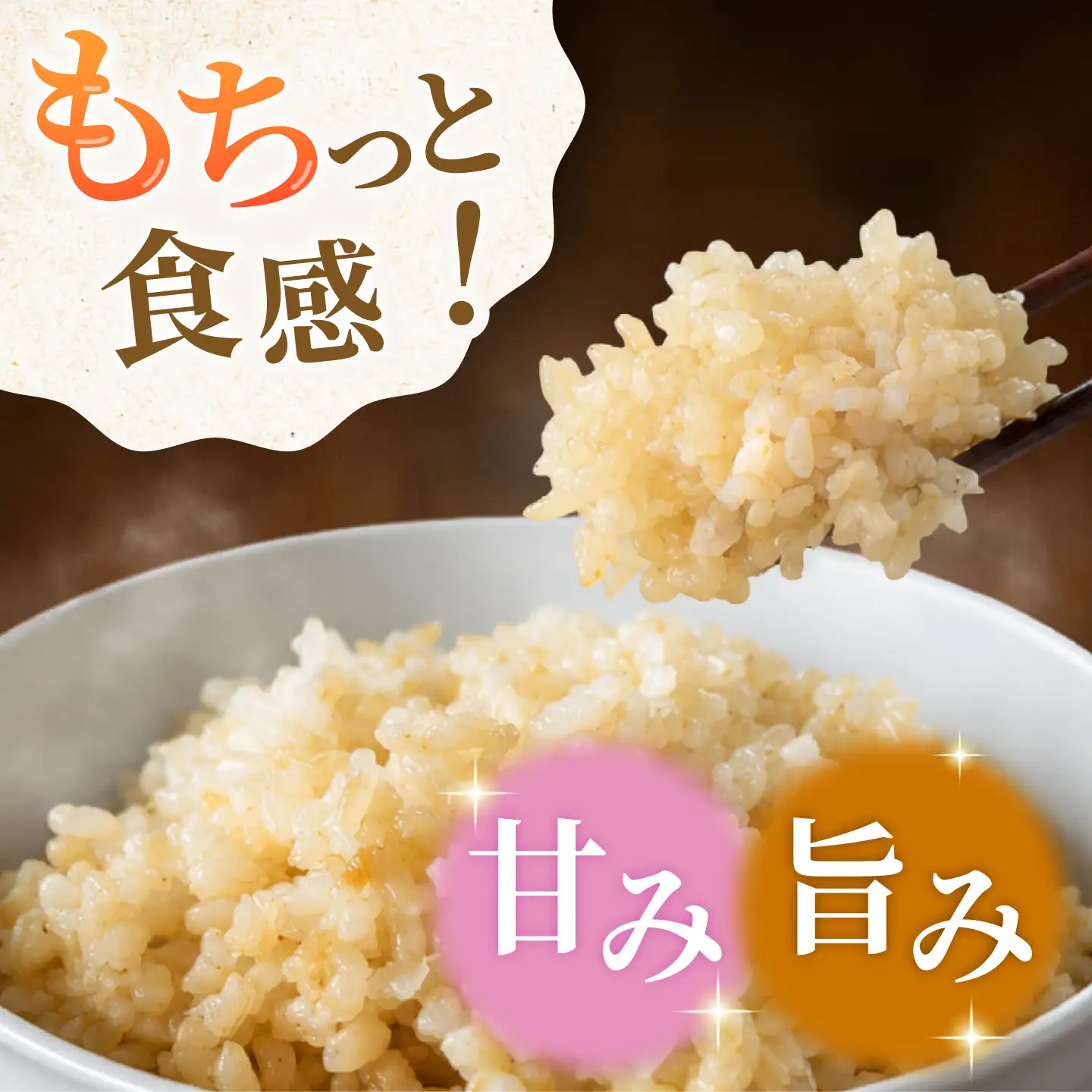 〈令和7年度産米〉 合鴨農法玄米 5kg×2 計10kg 【あいがもん倶楽部】 令和7年産 [ZAR029]