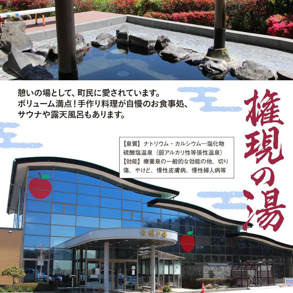 権現の湯　ご利用券　11枚
