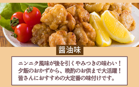 《冷めてもおいしい！》九州産の若鶏の大きな唐揚げ3.0kg(500g×6袋)  TF0775-P00064
