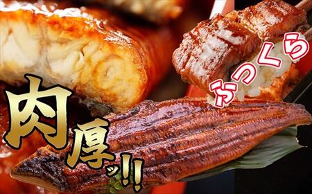 うなぎ蒲焼 特大 無頭 3尾 計約990g タレ付き | うなぎ蒲焼
