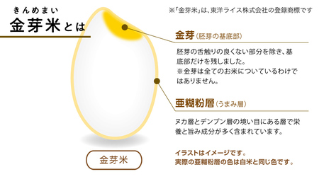 【 令和6年産・10月下旬発送 】【 金芽米 】 つくばみらい市産 コシヒカリ 5kg × 2袋 ( 計 10kg )  金芽米 きんめまい 米 お米 無洗米 茨城県 カロリーオフ 低カロリー 東洋ライス 節水 時短 アウトドア キャンプ