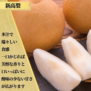 茨城県産【新高梨】約5kg【土浦市産】※2026年10月～発送