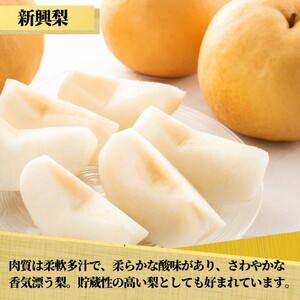 茨城県産【新興梨】約5kg【土浦市産】 ※2026年10月～発送