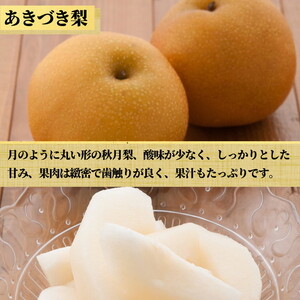 茨城県産【あきづき梨】約5kg【土浦市産】