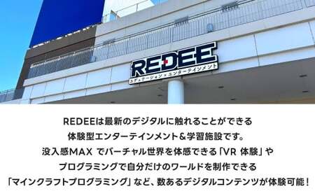 REDEE 入場チケット 大人・子供ペア