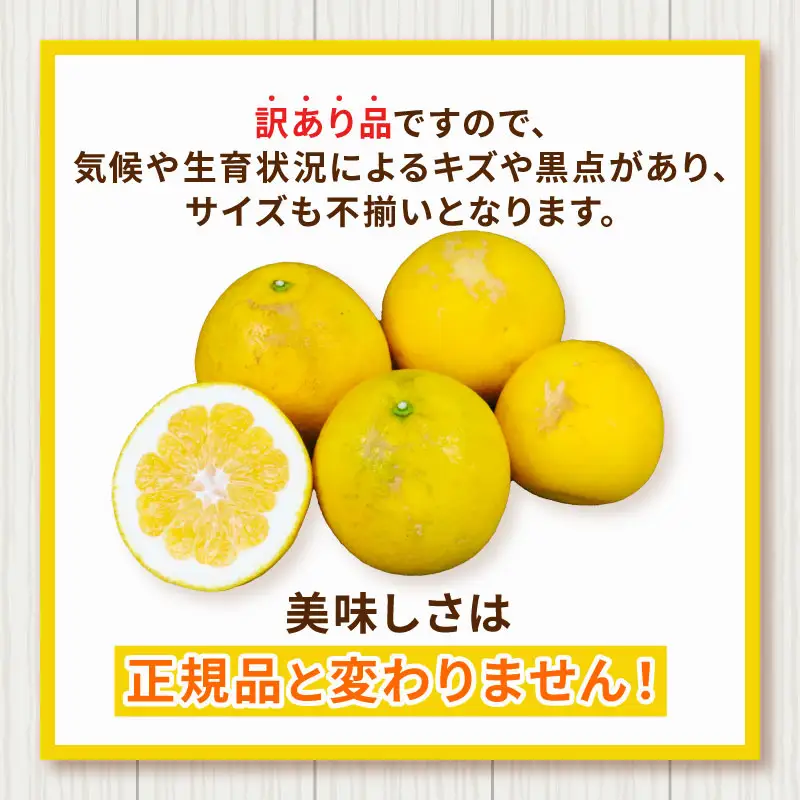 訳あり河内晩柑10kgハマみかん 柑橘 柑橘 B010-075011