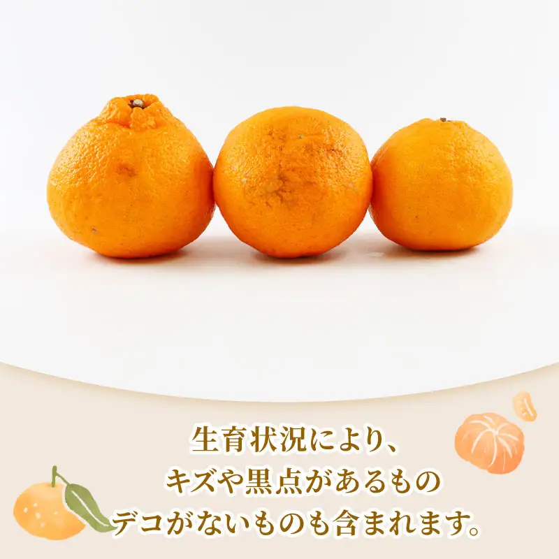 準贈答用 不知火 5kg 矢野青果 デコポン ( デコポン と同品種) B012-171018