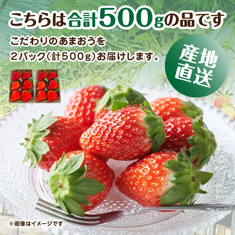 こだわりあまおう 250g×2パック（合計500g）｜2026年12月～順次発送＜ひらい観光農園＞ いちご イチゴ 苺 065-012