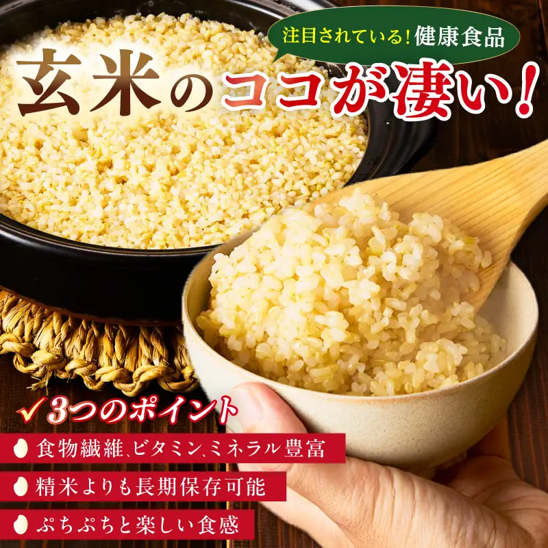 直売所直送「令和7年産　京丹後市産　コシヒカリ」　玄米5kg