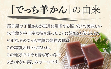 【先行予約】福井県大野市 冬の名物 でっち羊かん（手作り菓子 陽明堂 水ようかん）小サイズ（正味560g）×3箱【2026年11月より順次発送】