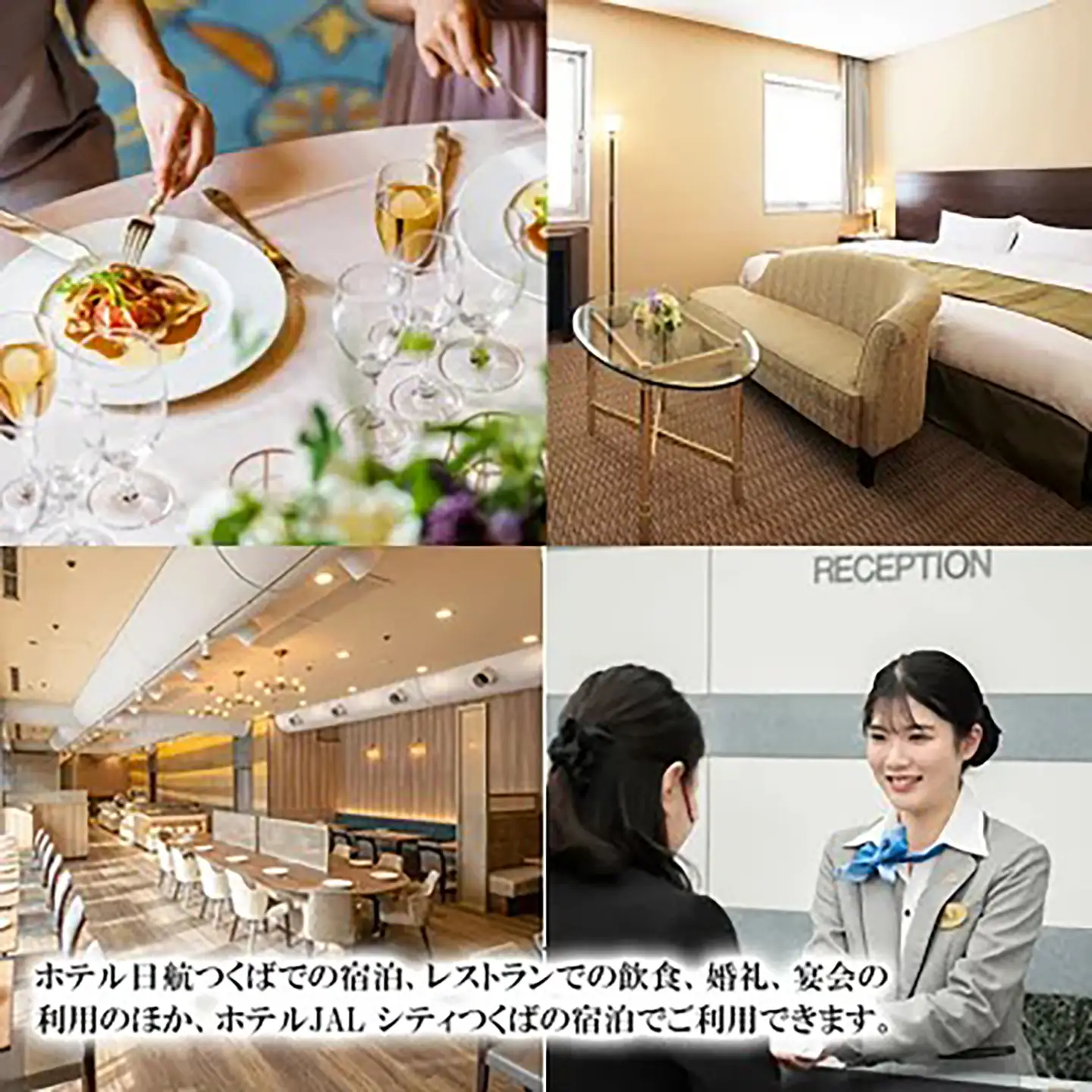 ホテル日航つくば・ホテルJAL シティつくばご利用券 9,000円分 宿泊券