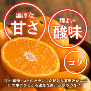 【2026年先行予約】産地直送　和歌山県産 有田みかん 5kg_BL6500