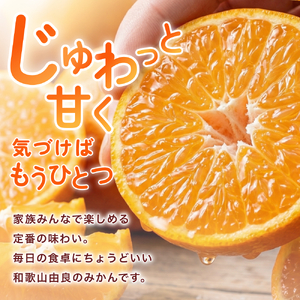 温州みかん 10kg (サイズおまかせ) ※2026年12月中旬～2027年1月下旬に順次発送予定 ※北海道・沖縄・離島配送不可 / ミカン 蜜柑 フルーツ 果物 柑橘 果実 由良町 国産 産地直送 和歌山県 【eiw004-r-10】
