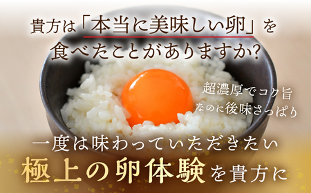 【6回定期便】コク旨 極上卵 30個 割れ保証付き