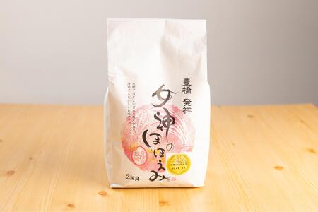 令和7年度産渥美半島米セット 6kg セット 食べ比べ 田原米2㎏×2袋 女神のほほえみ2㎏×1袋 希少米 米問屋直送