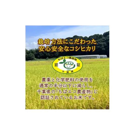コシヒカリ 10kg 5kg×2袋 精米したて 減農薬 減化学肥料 白米 千葉県産コシヒカリ こしひかり 新鮮 鮮度 米 ちばエコ農産物