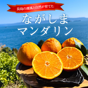ながしまマンダリン王【露地】(大将季) 約5kg 国産 長島 果物 フルーツ 柑橘 みかん オレンジ おやつ セット 詰め合わせ【ながしまマンダリングループ】mandarin-7197