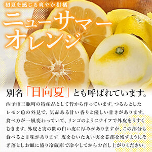 愛媛県西予市産「ニューサマーオレンジ」家庭用 約4kg MMN0012