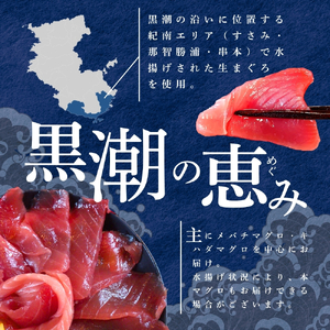 まぐろ 【訳あり】和歌山の天然マグロ 冷凍 計1kg【scp003C】 
