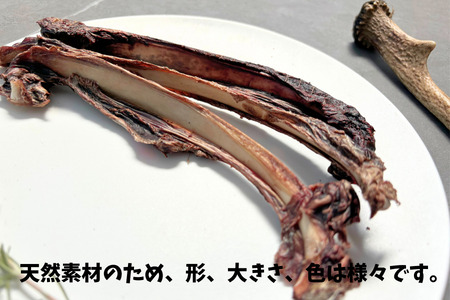 6-83 天然鹿の皮ガムと南アルプスの天然鹿肋骨の贅沢デンタルケアセット大型犬用 ALPDW015