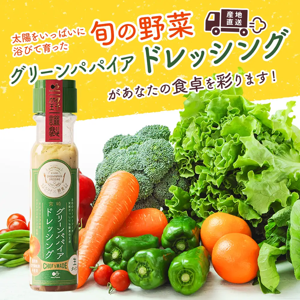 産地直送！旬の野菜（5～8種類）＆ドレッシング セット 3か月定期便 おまかせ 詰合せ 宮崎県新富町産 ※7・8月配送なし E213-2608