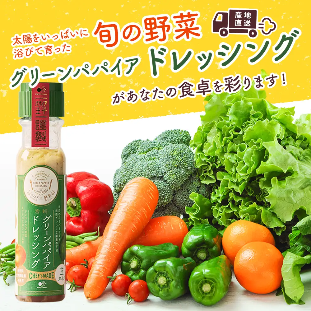 産地直送！旬の野菜（5～8種類）＆ドレッシング セット 全6回 隔月定期便 2か月に1回お届け おまかせ 詰合せ 宮崎県新富町産 E214-2608