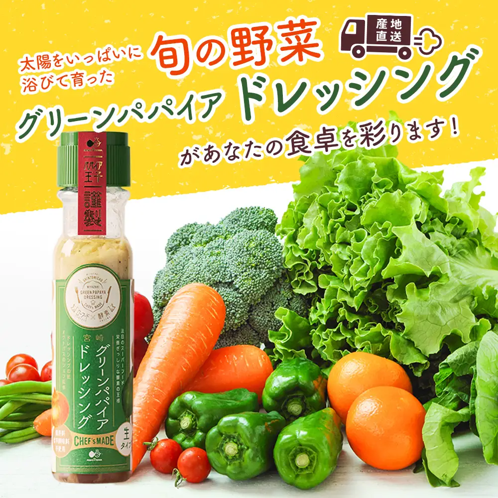 産地直送！旬の野菜（5～8種類）＆ドレッシング セット 10か月 定期便 おまかせ 詰合せ 宮崎県新富町産 F137⁻2608