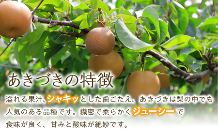 【2026年/令和8年発送分 】梨 長野 あきづき 約5kg 信州の梨 シャリッとみずみずしい梨です フルーツ 果物 デザート なし ナシ あきづき アキヅキ 産地直送 長野県 信州産