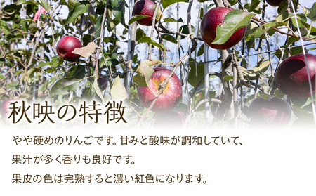 【2026年/令和8年度発送分 】訳あり 信州のりんご 秋映 約 5kg りんご リンゴ 林檎 長野 フルーツ 果物 信州産 長野県産 特産 産地直送 おすすめ