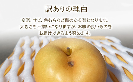 【2026年/令和8年度発送分 】 訳あり 梨 長野 南水 約 5kg 信州の梨 フルーツ 果物 デザート おやつ なし ナシ なんすい ナンスイ 産地直送 長野県 長野県産 信州産 長野県箕輪町
