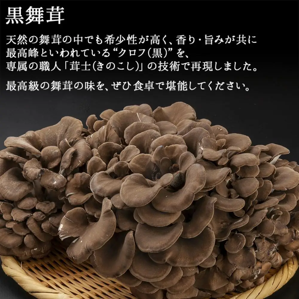 【定期便 全3回】 新潟県 南魚沼産 厳選 国産 黒 高級 舞茸 まいたけ 産地直送 700g 大平きのこ研究所