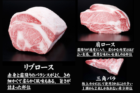 【生産者直送】なかにし和牛霜降り焼肉-上-（産地直送 小林市産 国産 牛肉 和牛 霜降り 焼肉 送料無料） 焼肉 和牛焼肉 牛肉焼肉 西ノ原牧場