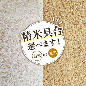 【 先行予約 】 新米 夢ごこち 玄米 10kg 定期便 12ヶ月