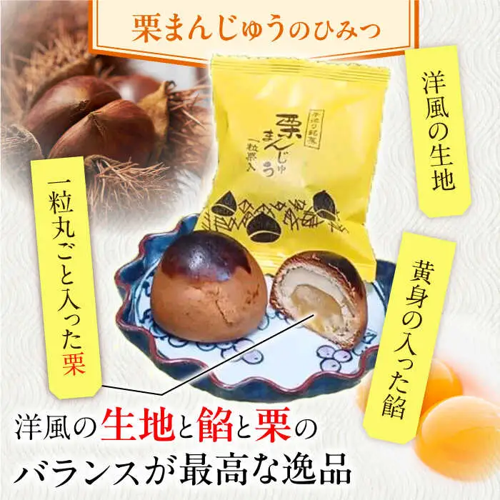【当店自慢！お菓子詰め合わせ】佐々の 焼き菓子 Bセット 計15個入【栗まんじゅう本舗 小田製菓】[QAR013]