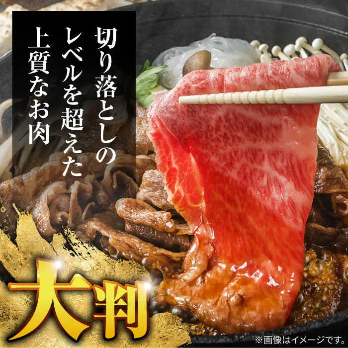 長崎和牛 A5 赤身 切り落とし(モモ・バラ) 1kg(250g×4) / 牛肉 和牛 モモ もも バラ バラ肉 すき焼き A5ランク 小間切れ / 諫早市 / 野中精肉店 [AHCW015]