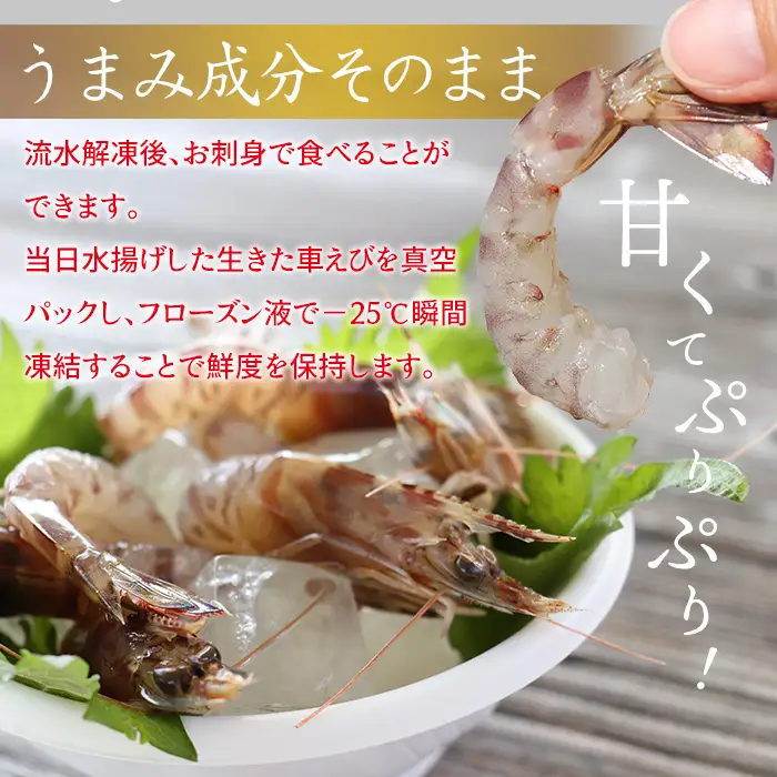 車海老【久米島漁協】活〆冷凍車海老　生食用250g 車えび 海鮮