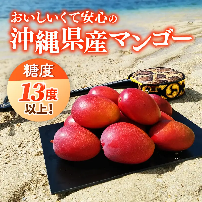 【先行受付】【2027年発送】【糖度13度以上】 伊集農園 沖縄県産マンゴー ご家庭用 約2kg - 先行予約 沖縄 産地直送 南国フルーツ 旬の味覚 家庭用 2キロ オススメ 沖縄県 八重瀬町