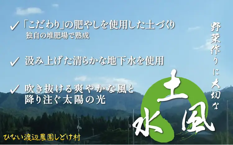 四季折々の野菜・山菜セット（5品目ほど）　45P3203【ひない渡辺農園しどけ村】