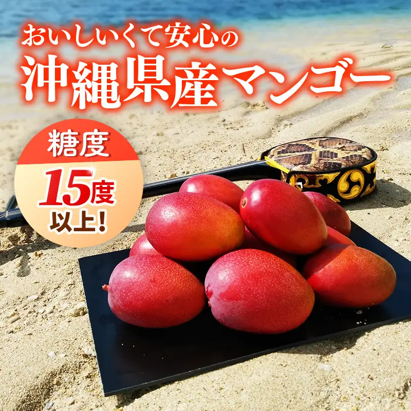 【木箱入】【先行受付・2027年発送】【糖度15度以上】 伊集農園 沖縄県産マンゴー（贈答用木箱）約1kg - 先行予約 沖縄 産地直送 南国フルーツ 旬の味覚 旬のフルーツ 贈り物 ギフト 沖縄県 八重瀬町