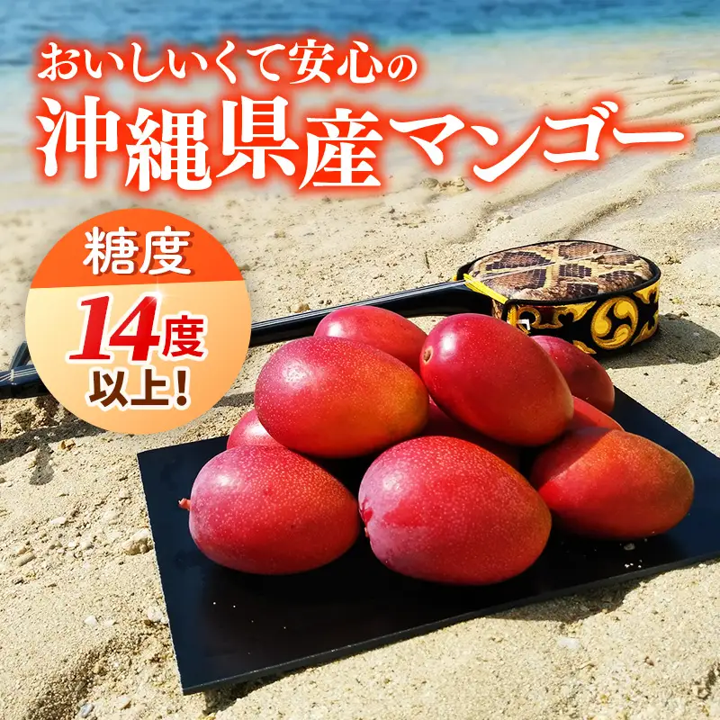 【化粧箱入】【先行受付・2027年発送】【糖度14度以上】伊集農園 沖縄県産マンゴー（贈答用）約1kg - 先行予約 沖縄 産地直送 南国フルーツ 旬の味覚 旬のフルーツ 沖縄県 八重瀬町