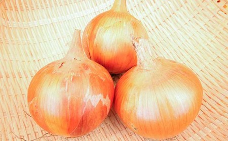 【美菜恋来屋】淡路島たまねぎの元祖 「淡路中甲高黄」３kg