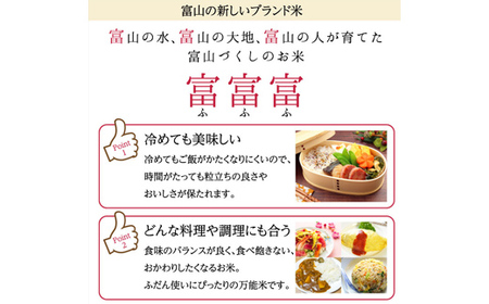 富山県ブランド米 富富富 精米 5kg ふふふ ブランド米 国産 米 お米 日本米 ギフト 贈り物 備蓄 防災 食品 陽咲玲 はるざれ F6T-1008