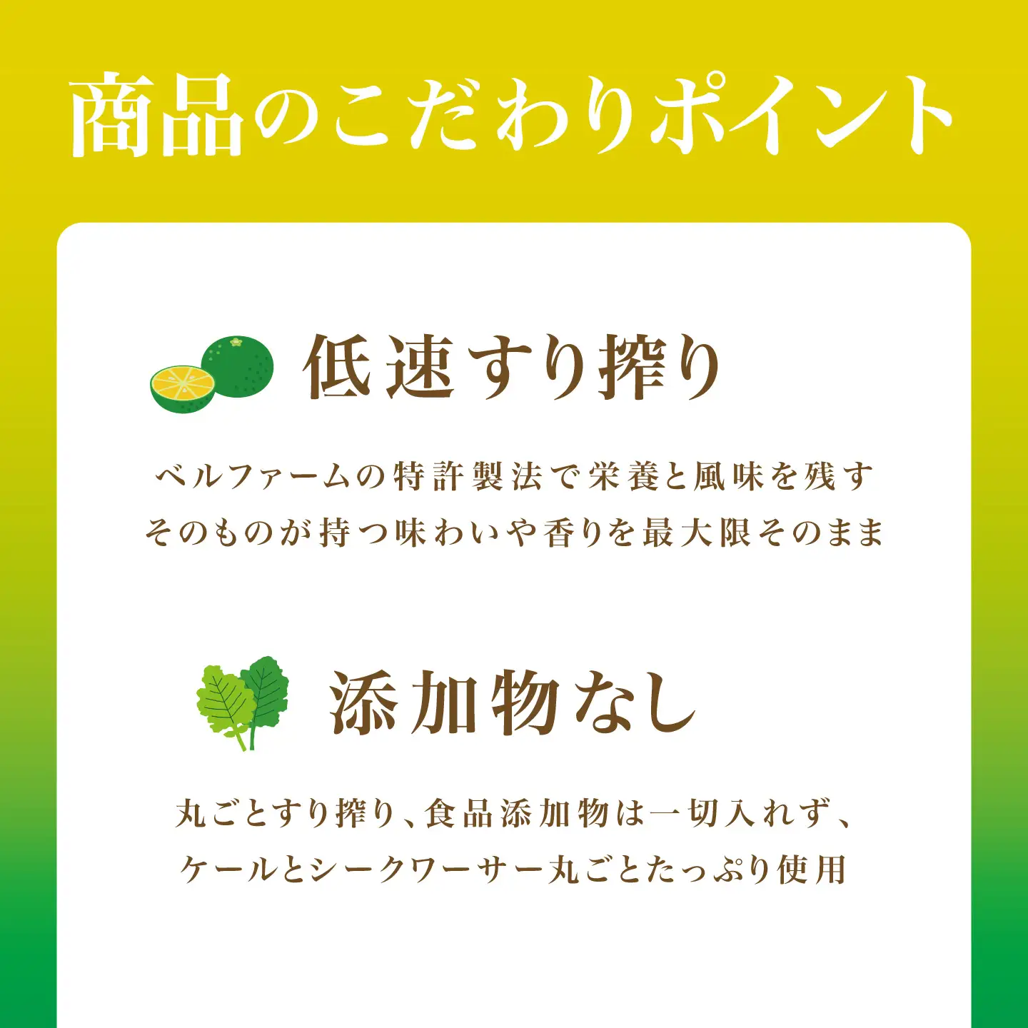 6ヵ月定期便 青汁シークワーサー入 100g×30P
