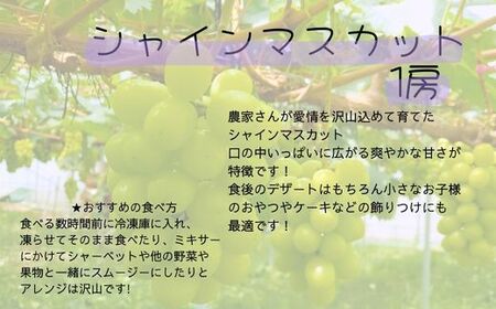 南アルプス市からのちいさな贈り物！少量くだもの定期便 ALPAJ003