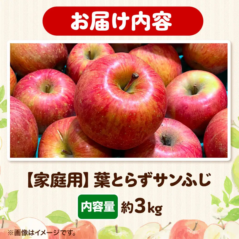 りんご 葉とらず サンふじ 約3kg 家庭用【12月発送】りんご