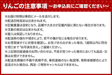 【26年11月下旬発送】りんご 葉とらずサンふじ【訳あり】家庭用 約5kg